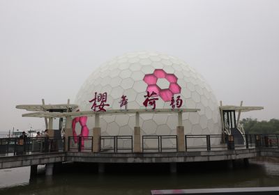 Dome Dynamic Cinema -- Yuantouzhu Scenic Spot